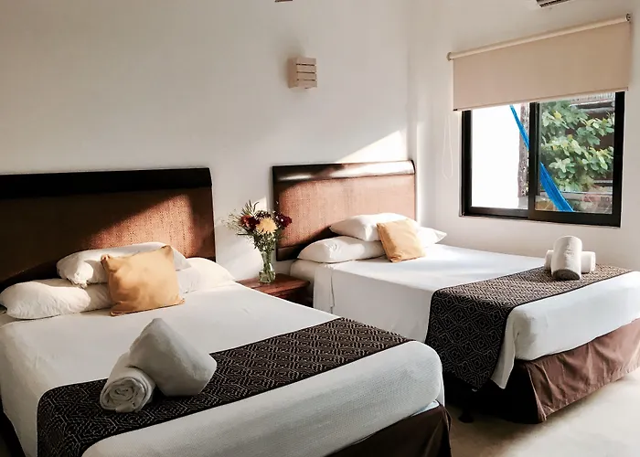 Hotel Siesta Fiesta - 5th Avenue (adults Only) Playa del Carmen