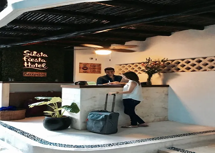 Siesta Fiesta - 5th Avenue (adults Only)